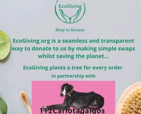 Eco Giving