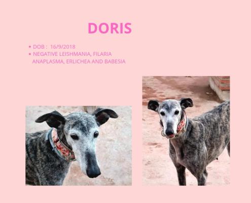 Doris