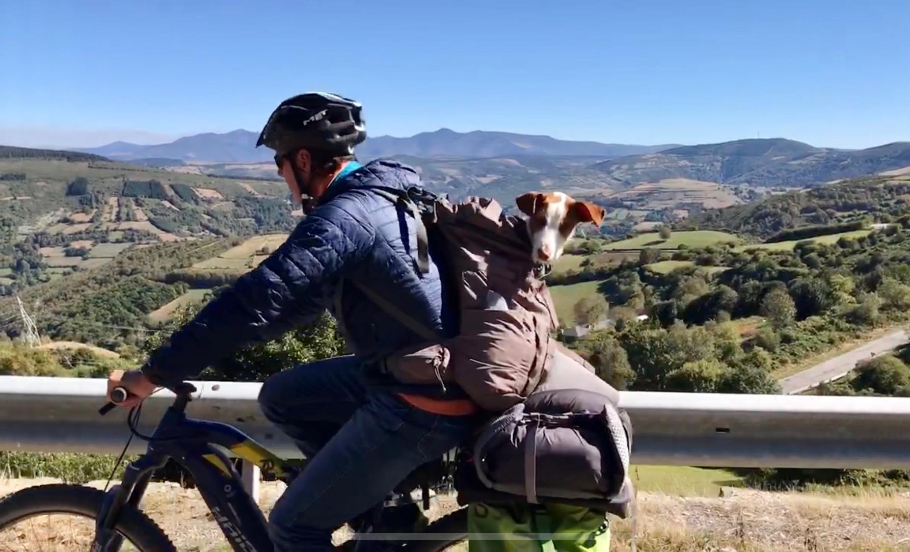 Rio travelling by bicycle on the Camino